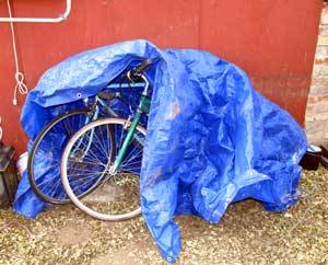 Why you need a bike shed